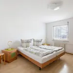 Appartement 3-zimmer Stadtappartement Sievers Weil am Rhein